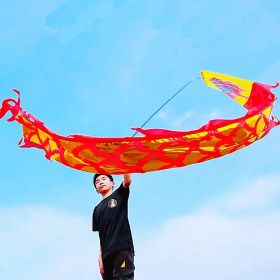 3 Meters (9.8 FT) Golden Scale Silk Dragon POI Outdoor Flinging Wind Spinners & Fitness Dragon Dance Wu Long 3D dragon Ribbon Streamer with Fiberglass (Red Gold Dragon: Red Golden Dragon)